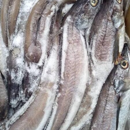 Iced Panla/Hake Fish